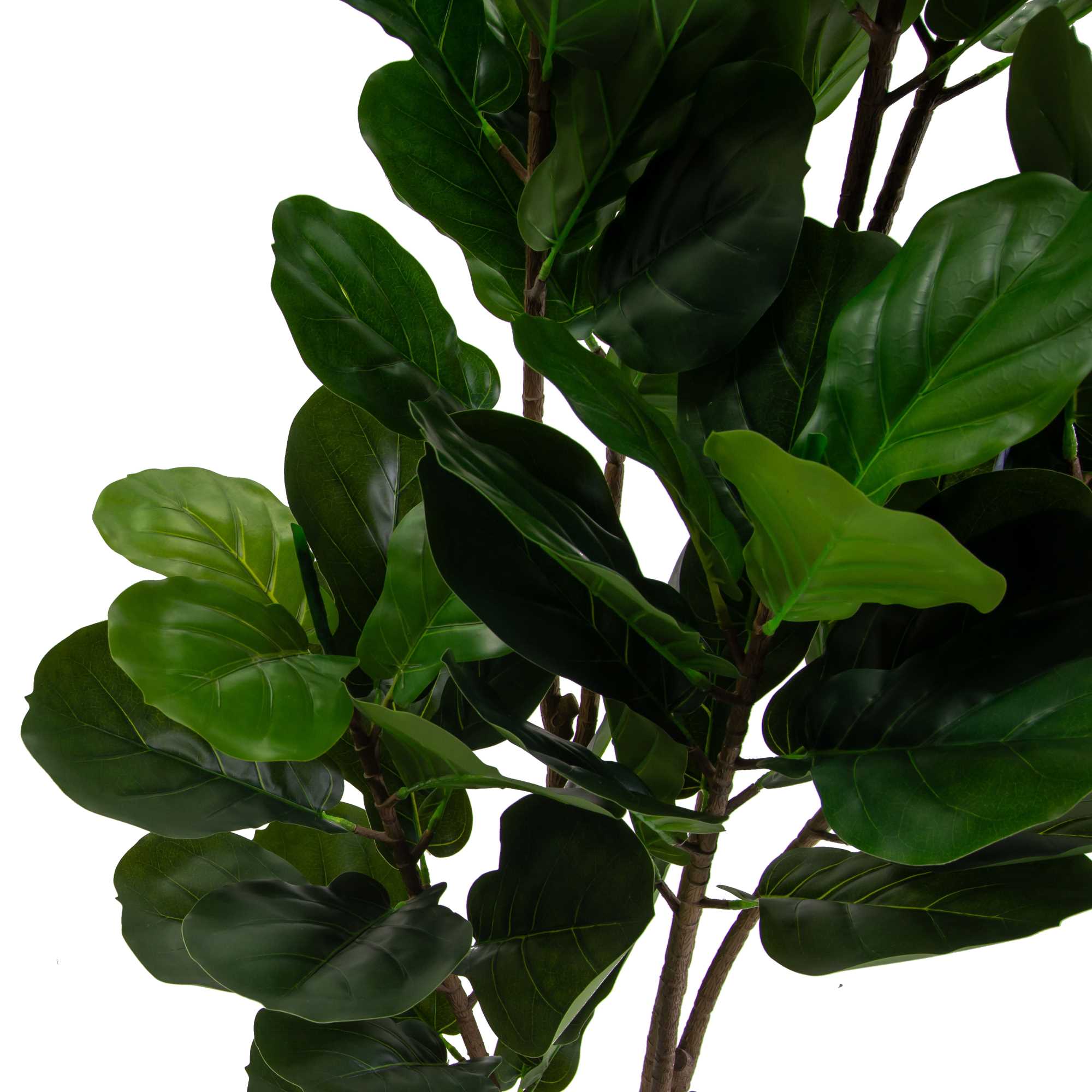 Pianta artificiale plastica Ficus cmh210