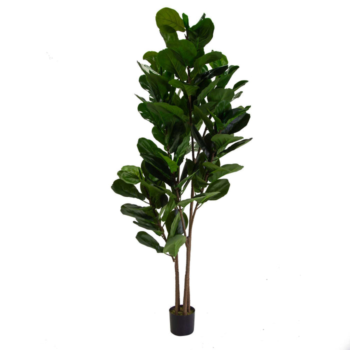 Pianta artificiale plastica Ficus cmh210