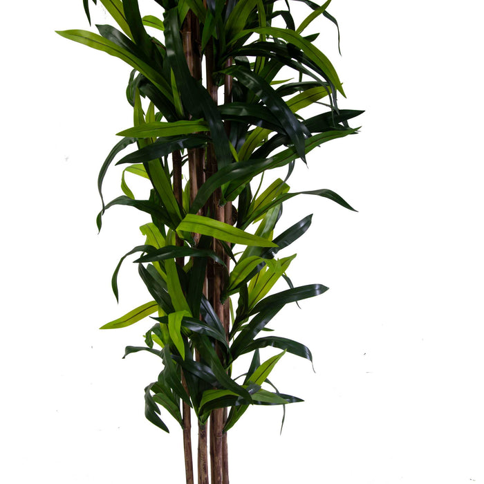 Pianta artificiale plastica Dracaena cmh198