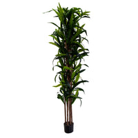 Pianta artificiale plastica Dracaena cmh198