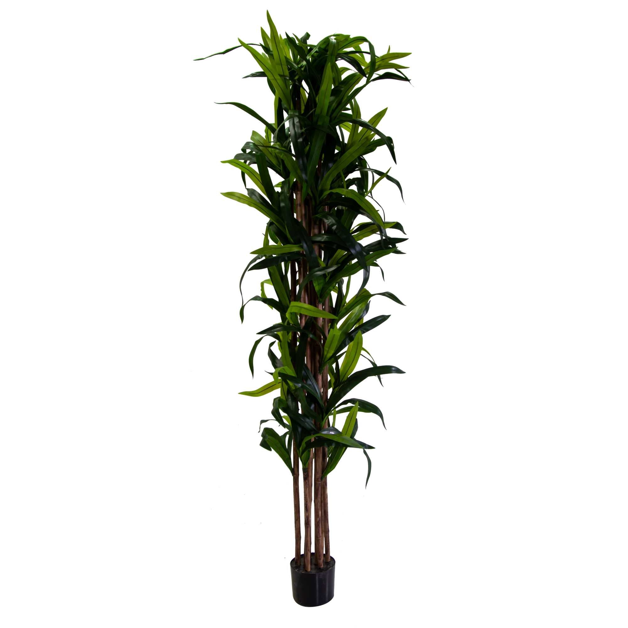 Pianta artificiale plastica Dracaena cmh198