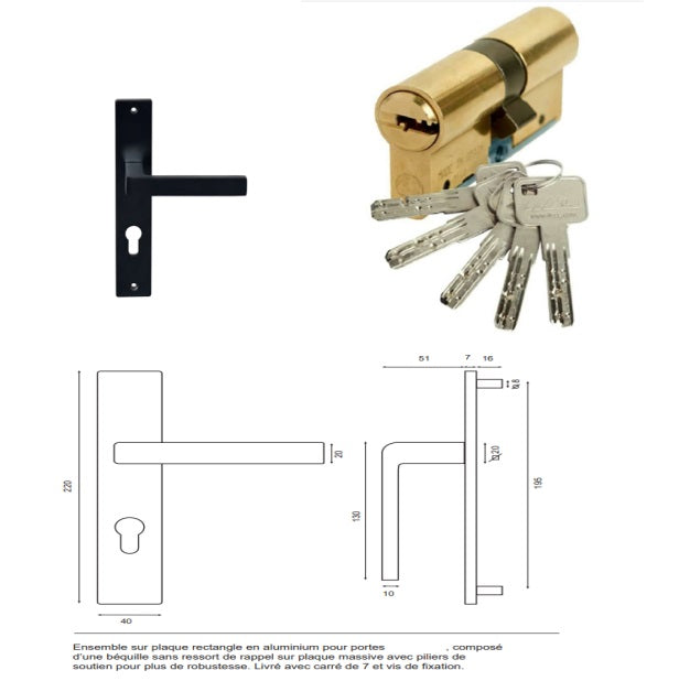 Porta d'ingresso in legno 'Alena' 215X80 a sinistra a spingere con maniglia e serratura senza maniglia