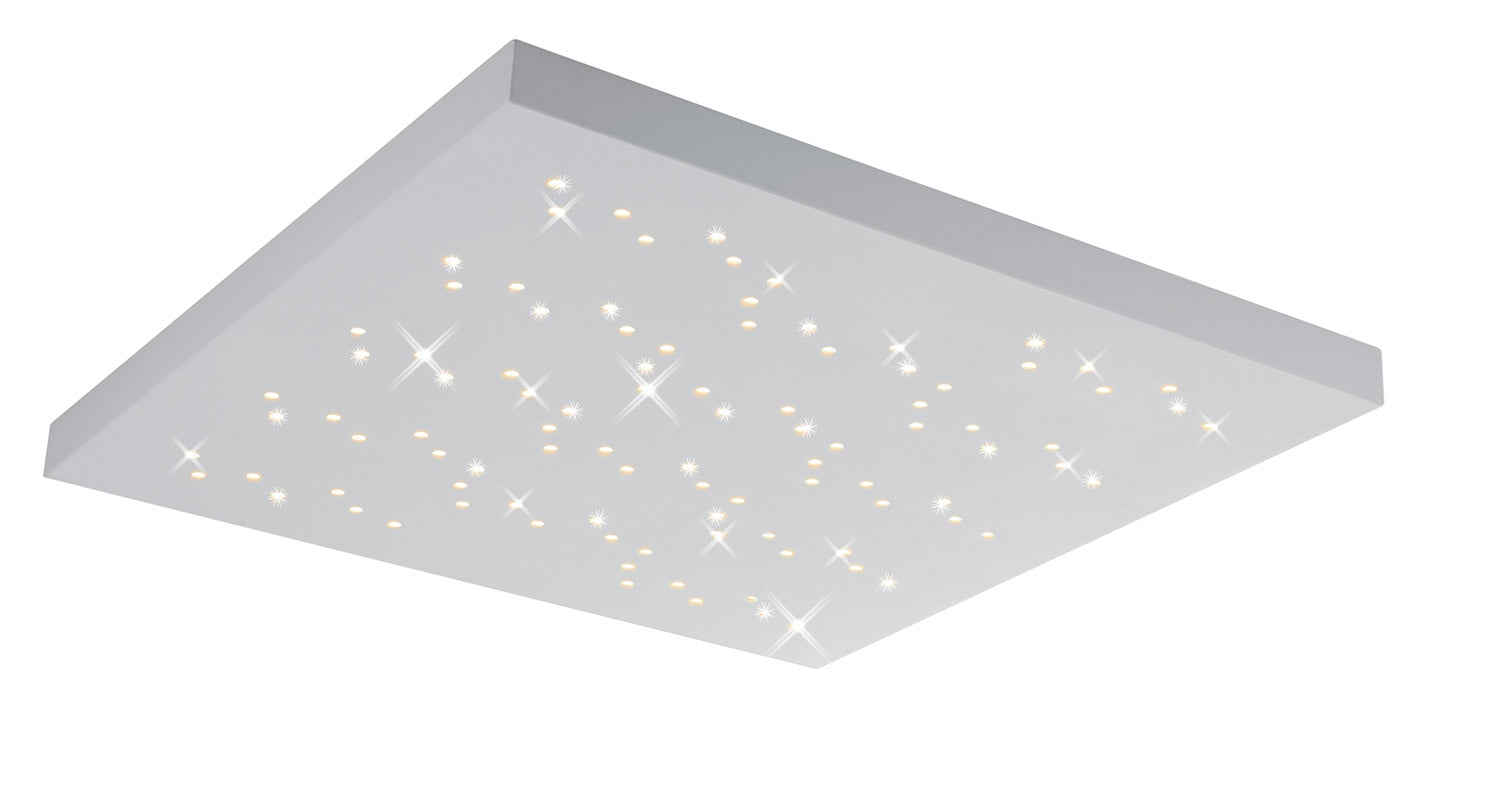 Plafoniera da Interno a LED in Metallo Bianco Opaco