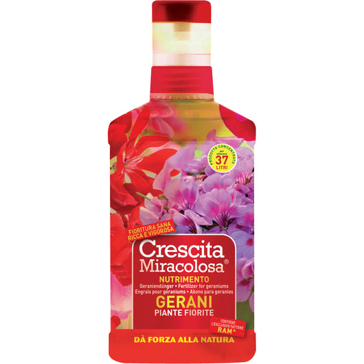 CRESCITA MIRACOLOSA GERANI ML.375  PZ 16 