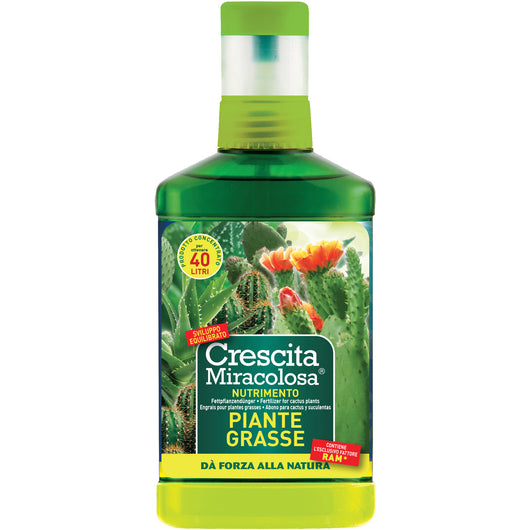 CRESCITA MIRACOLOSA PIANTE GRASSE ML.200  PZ 12 