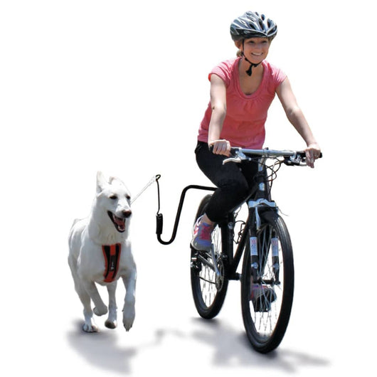 SPRINGER Kit Ginnico per Bicicletta per Cani