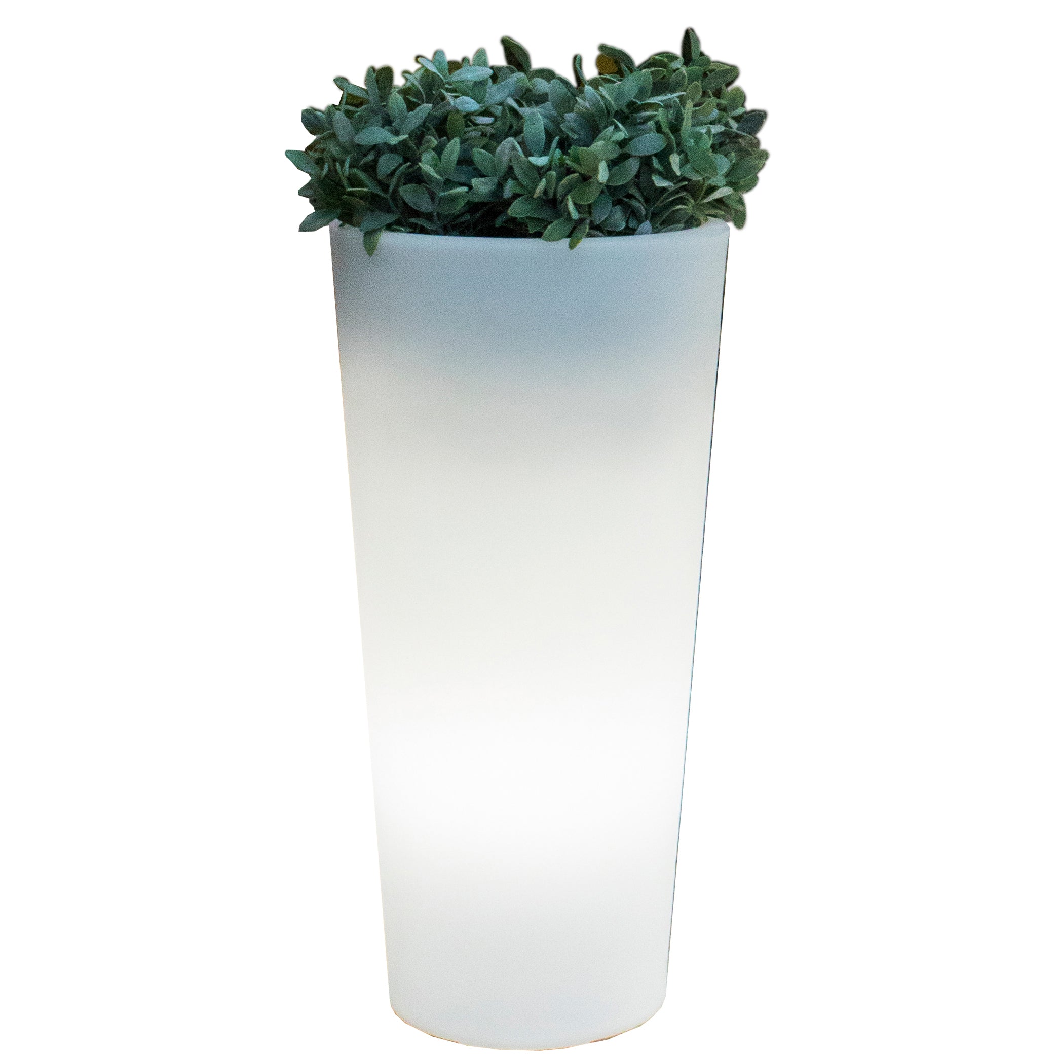 VASO SOLARE MOD.FICUS TONDO H.60 RGB C/TELECOMANDO  PZ 1,0