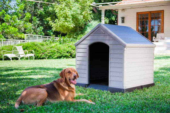 Cuccia da Esterno per Cani 99x95x99 cm in Plastica Keter Dog House Sabbia/Marrone