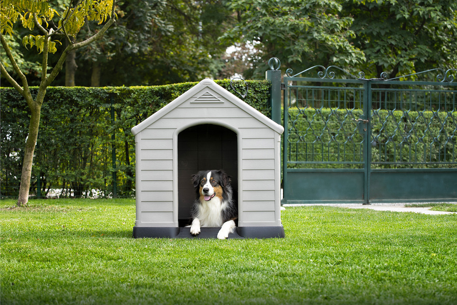 Cuccia da Esterno per Cani 99x95x99 cm in Plastica Keter Dog House Sabbia/Marrone