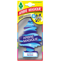 ARBRE MAGIQUE DOUBLE JASMINE/NARCISIUS  PZ 24,0