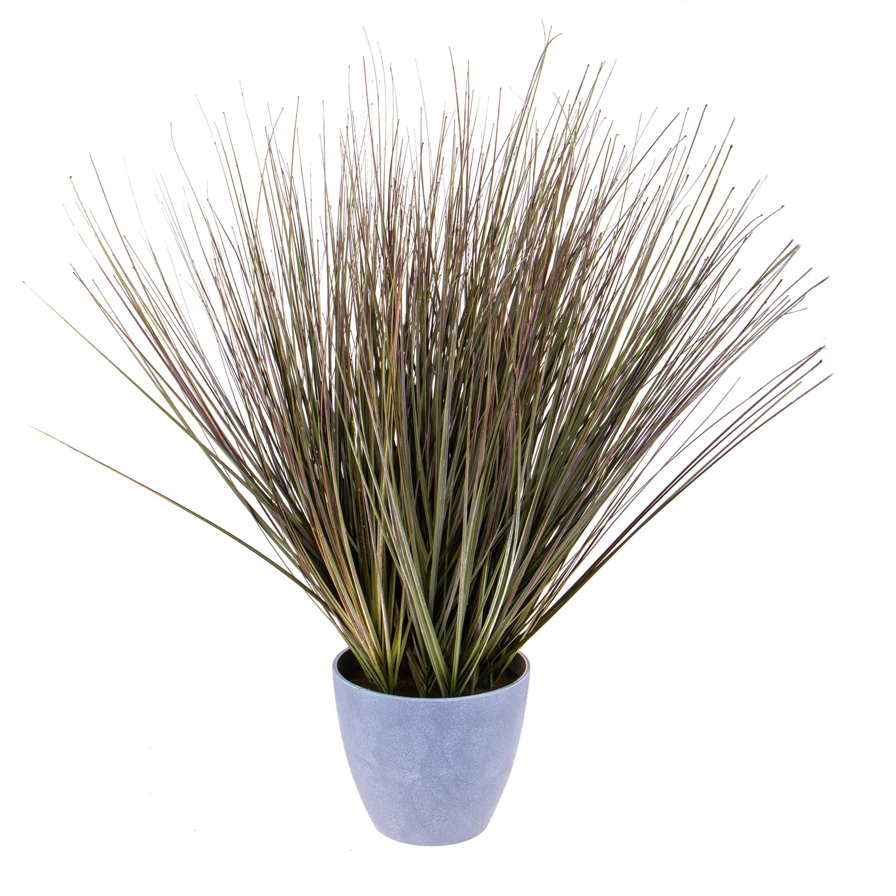 Pianta Artificiale di Beargrass in Vaso Altezza 78 cm Verde