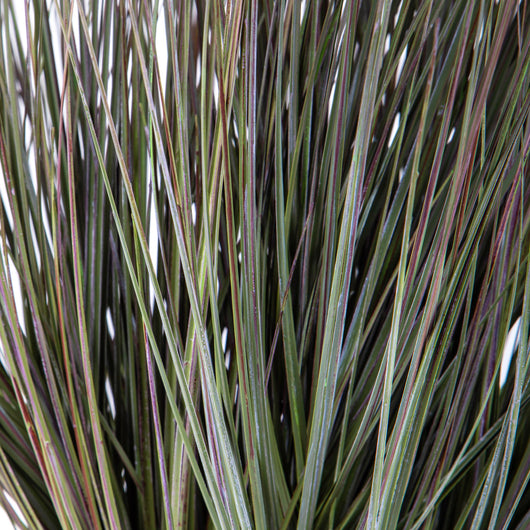 Pianta Artificiale di Beargrass in Vaso Altezza 78 cm Verde