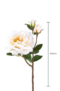 Set 4 Rose Artificiali Inglese Altezza 48 cm