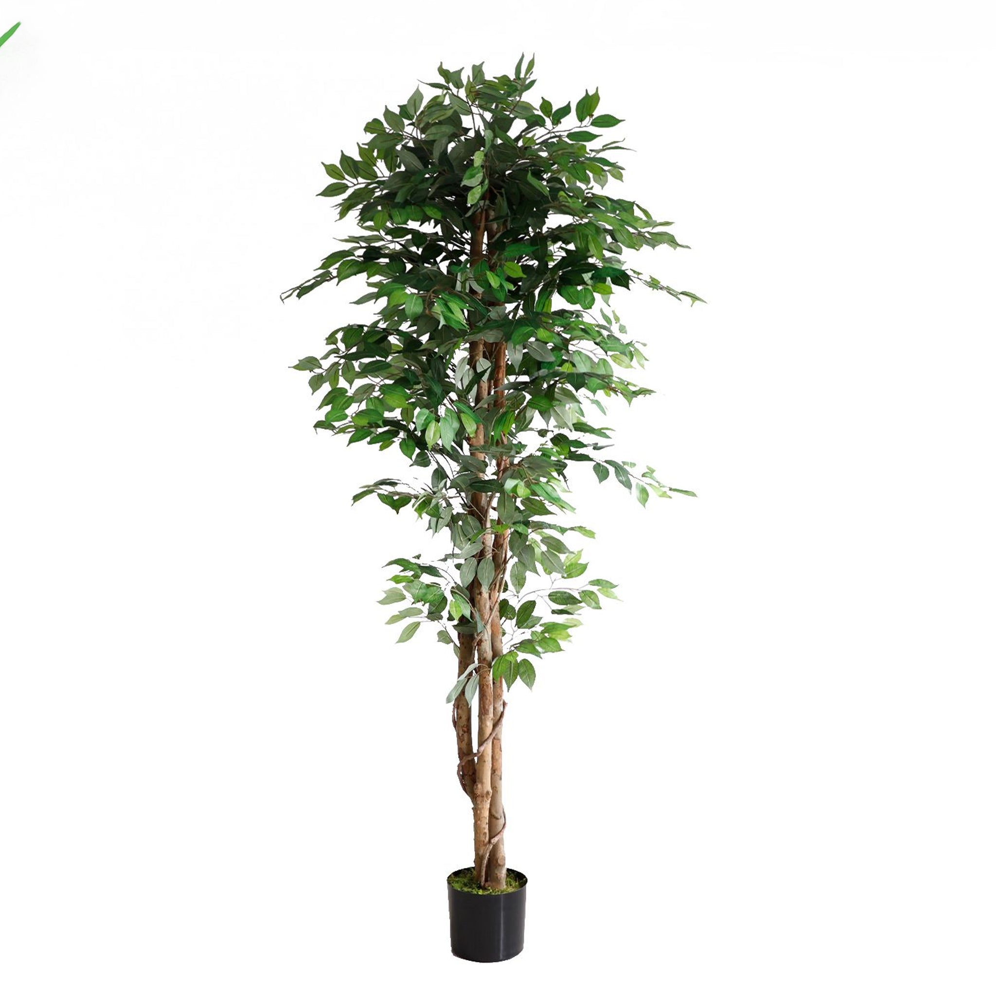 Pianta Ornamentale Per Interno Ed Esterno Albero Di Fico Artificiale In Vaso 210cm