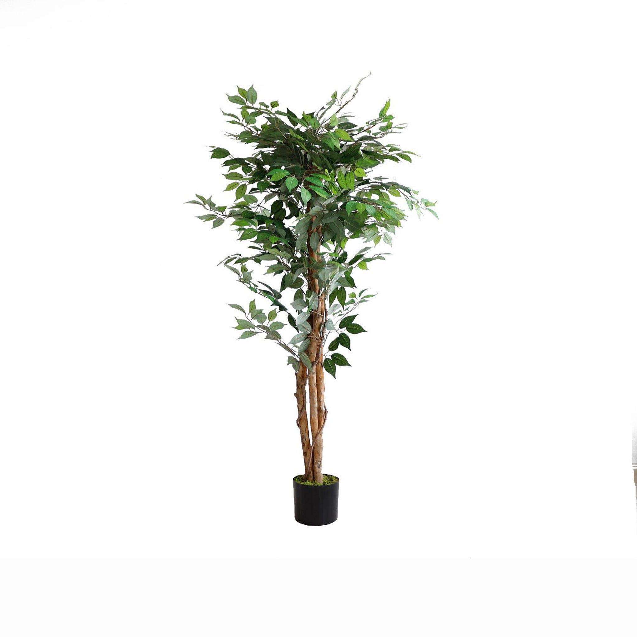 Pianta Ornamentale Per Interno Ed Esterno Albero Di Fico Artificiale In Vaso 180cm