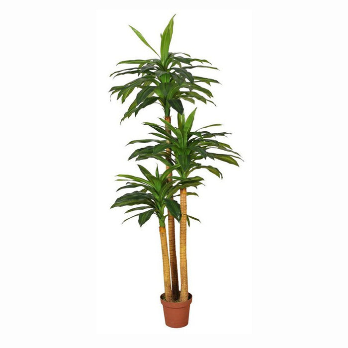 Pianta Ornamentale Per Interno Ed Esterno Albero Di Dracena Artificiale In Vaso 170cm