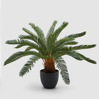 Pianta Ornamentale Per Interno Ed Esterno Albero Di Cycas Artificiale In Vaso 92cm