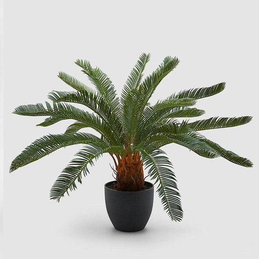 Pianta Ornamentale Per Interno Ed Esterno Albero Di Cycas Artificiale In Vaso 92cm