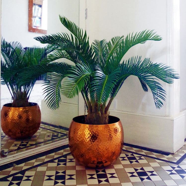 Pianta Ornamentale Per Interno Ed Esterno Albero Di Cycas Artificiale In Vaso 85cm