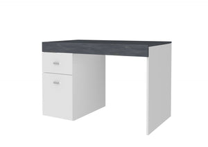 Scrivania per ufficio con cassettiera e piano contenitore, Made in Italy, Scrittoio porta PC, cm 100x60h75, Bianco lucido e Grigio Cenere