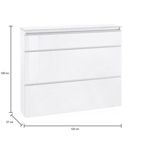 Scarpiera moderna, Made in Italy, a 2 ante e 1 anta a ribalta, Mobile portascarpe da ingresso, cm 120x27h108, Bianco lucido