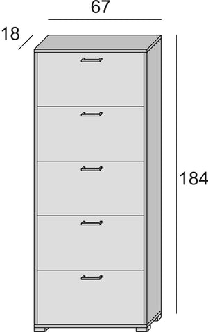 Scarpiera Margherita, Mobile multiuso da ingresso con 5 ante a ribalta, Armadietto portascarpe moderno, Made in Italy, Cm 67x18h184, Bianco