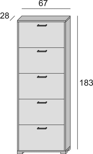 Scarpiera Surfinia, Mobile multiuso da ingresso con 5 ante a ribalta, Armadietto portascarpe a doppia profondità, Made in Italy, Cm 67x28h183, Cemento