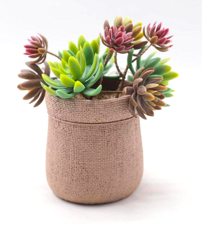 Pianta artificiale Succulenta H21 cm con Vaso Verde