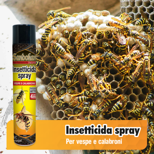 Vespicida Spray con getto 5 metri 