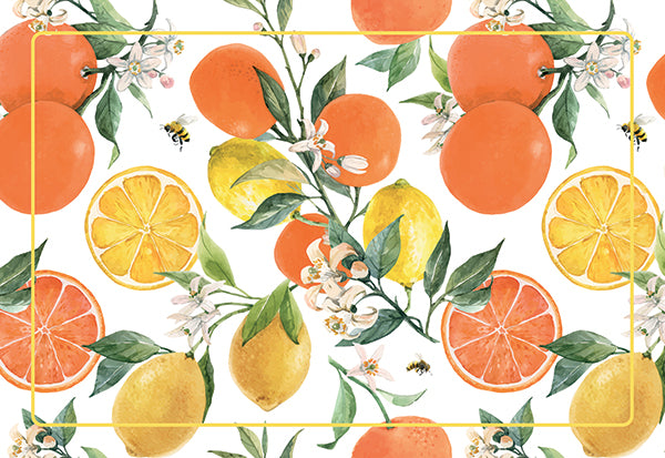 Tovagliette Americane Citrus Lavabili e Igieniche  33 x 48 cm_ 4 pezzi