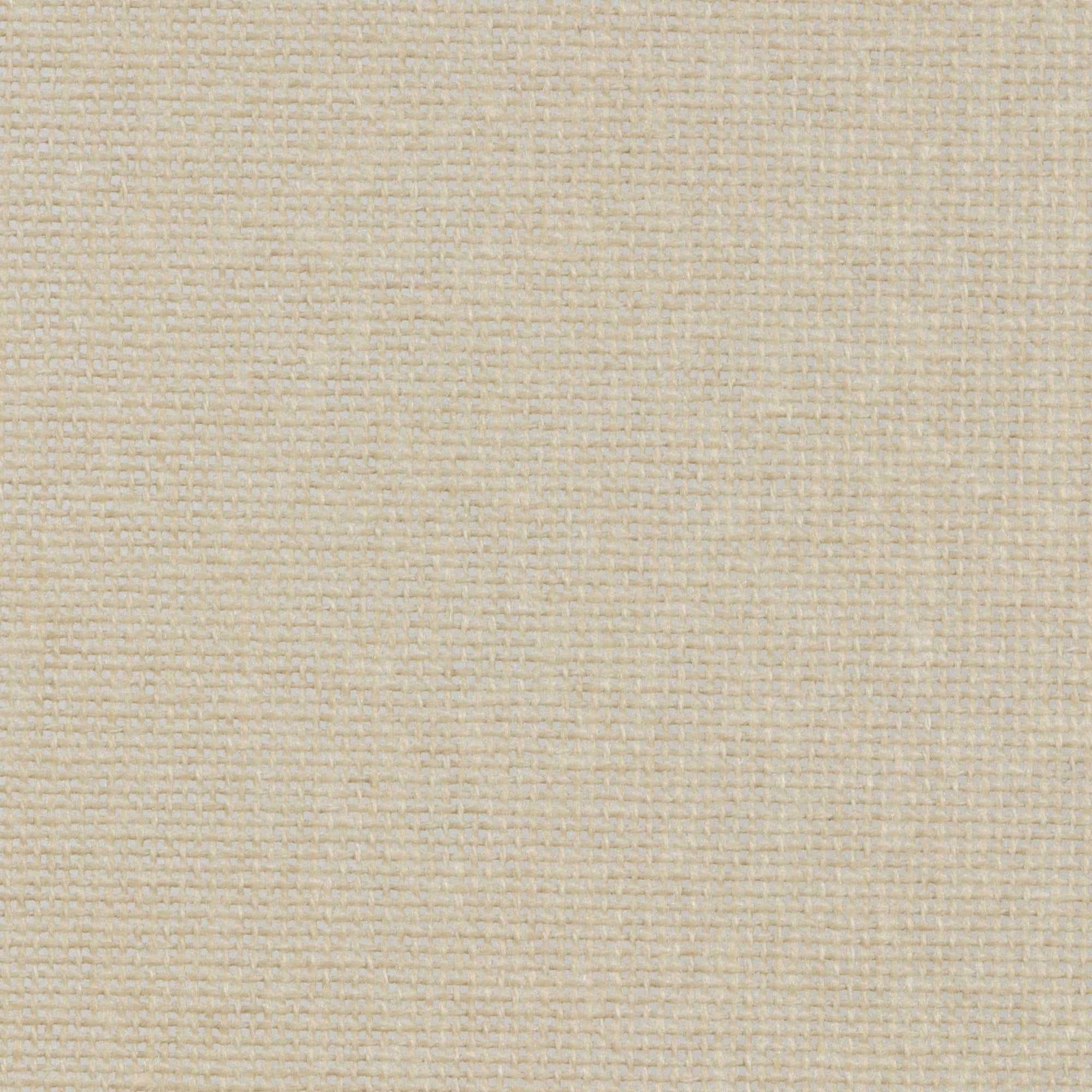 Tenda a rullo traslucida Cotone (Cotone riciclato) Beige 180 X 250cm - Made in Europe