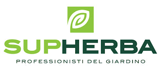 Shecv-Elmetto Di Protezione Con Cuffie E Visiera Verde-Supherba