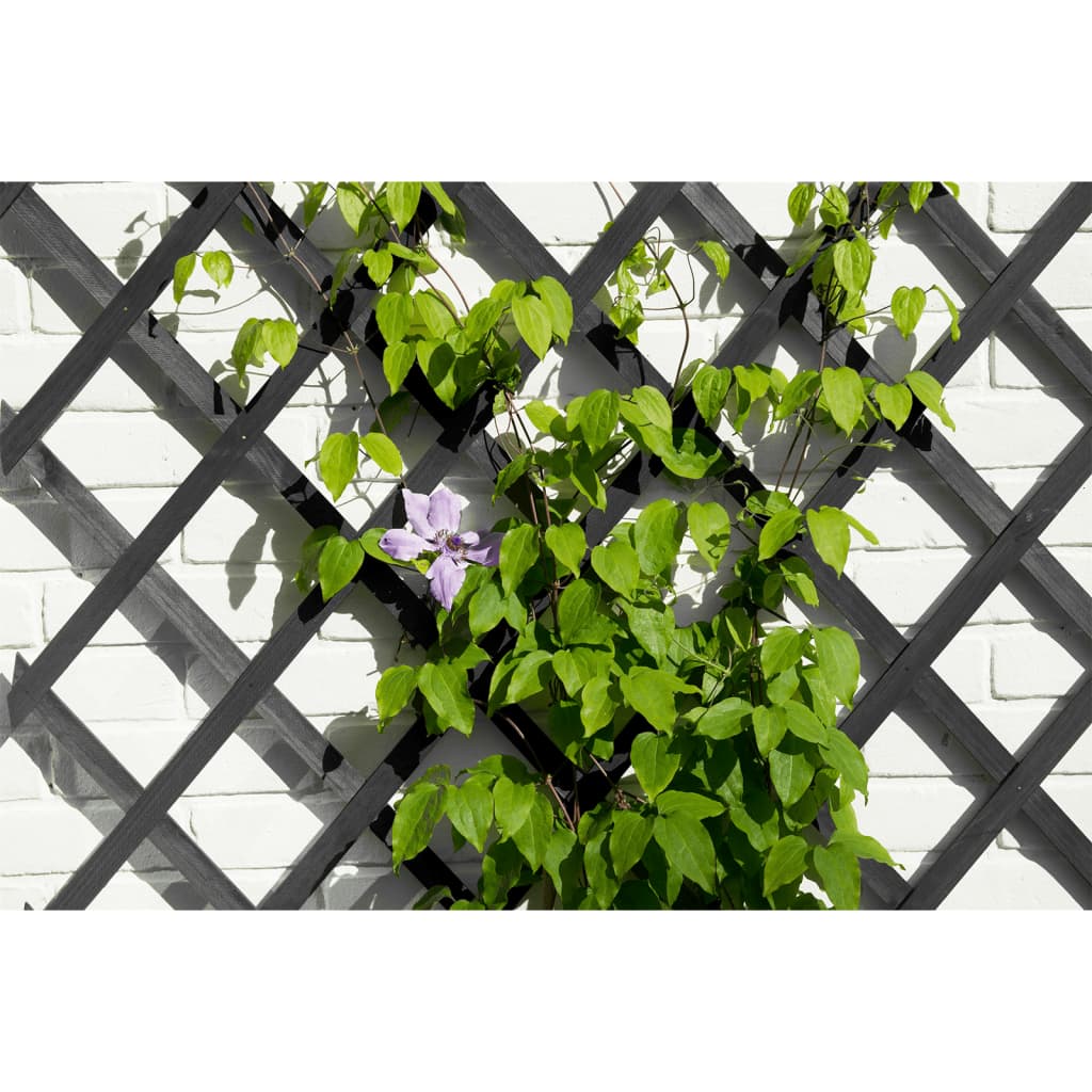 Nature Traliccio da Giardino 50x150 cm in PVC Antracitecod mxl 87743