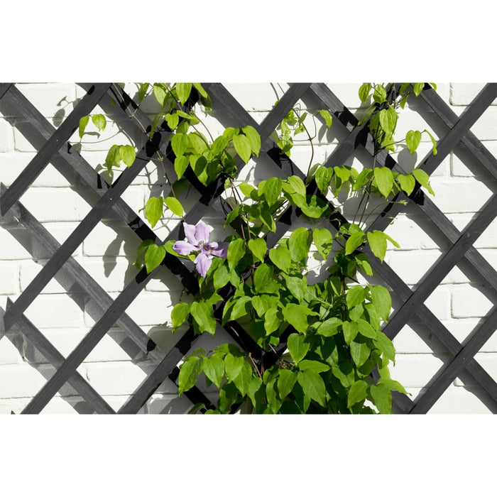 Nature Traliccio da Giardino 50x150 cm in PVC Antracite 447508