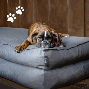 Madison Cuscino per Cani Panama 100x70x15 cm Grigio 444461