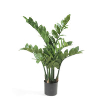 Emerald Zamioculcas Artificiale 70 cm 423603