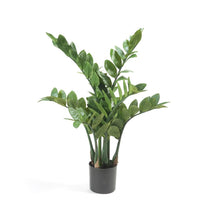 Emerald Zamioculcas Artificiale 70 cmcod mxl 105377