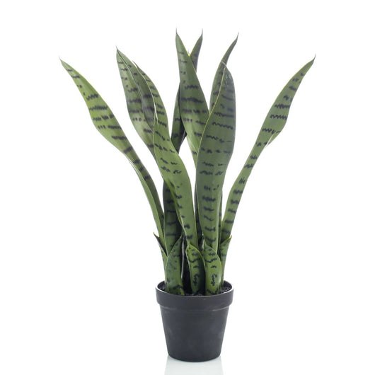 Emerald Pianta Artificiale di Sansevieria 55 cm in Vaso   cod mxl 105631