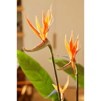 Emerald Strelitzia Pianta Artificiale in Vaso con Fiori 120 cmcod mxl 128585