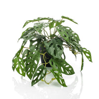 Emerald Cespuglio Artificiale di Monstera Adansonii 55 cm in Vasocod mxl 71881