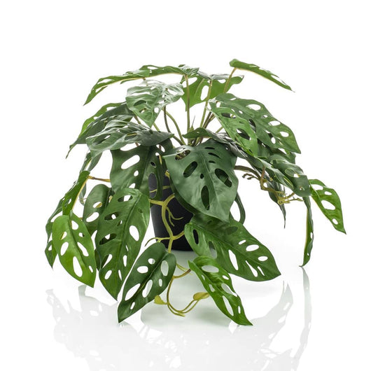 Emerald Cespuglio Artificiale di Monstera Adansonii 55 cm in Vaso 444638