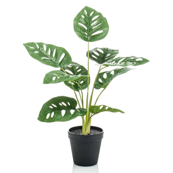 Emerald Cespuglio Artificiale di Monstera Adansonii 43 cm in Vasocod mxl 120035