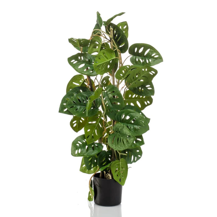 Emerald Monstera Adansonii Artificiale 75 cm in Vaso 444647