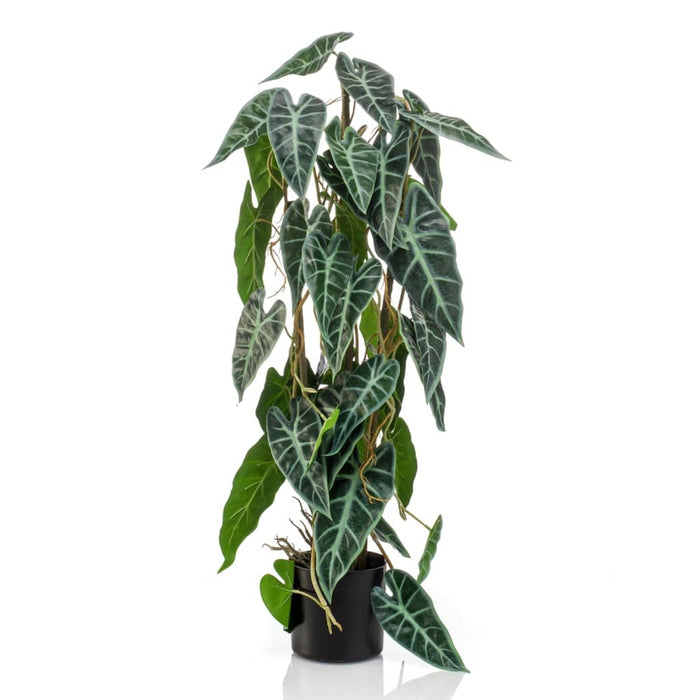 Emerald Alocasia Artificiale 75 cm in Vaso 444648