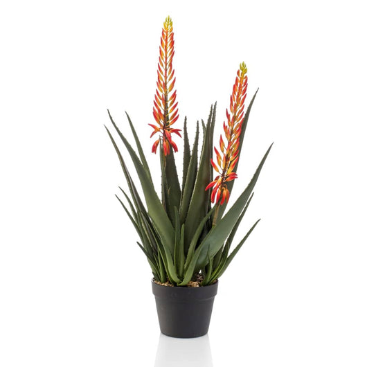 Emerald Aloe Artificiale con 2 Fiori 80 cm in Vaso 444655