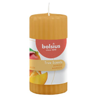 Bolsius Candele Profumate Rigate Pilastro 6 pz 120x58 mm Mango 440788