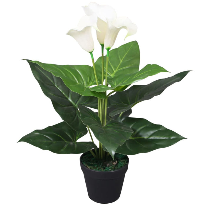 Calla Lily Artificiale con Vaso 45 cm Bianca