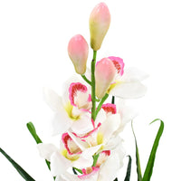 Orchidea Cymbidium Artificiale con Vaso 100 cm Verde 245952