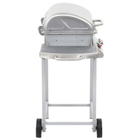 Barbecue a Gas con Griglia 2 Fornelli Argento Acciaio Inox