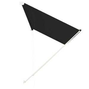 Tenda da Sole Retrattile 300x150 cm Antracite 143761